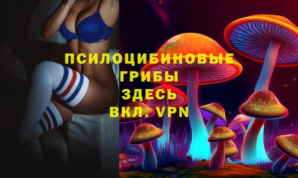дмт Аркадак