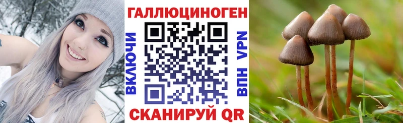 Галлюциногенные грибы прущие грибы  Аша 